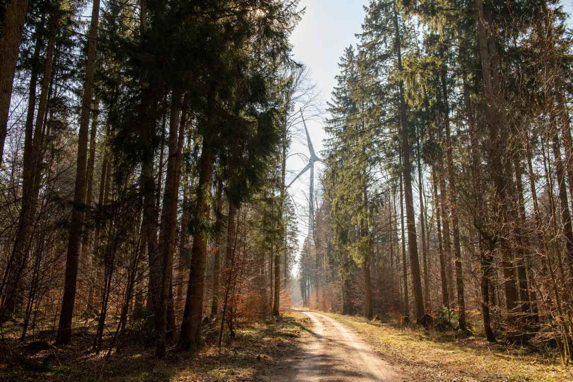 Bürgerwindpark im Wald: In Fuchstal werden Rotmilane mit Hightech vor Zusammenstößen mit Windradflügeln geschützt.