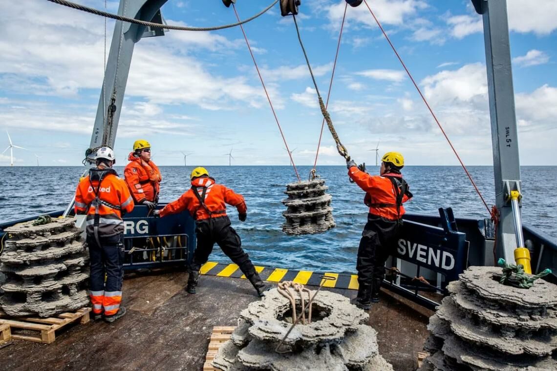 Ørsted-Mitarbeiter setzen in einem gemeinsamen Projekt mit dem WWF künstliche Riffe im Kattegat aus, um die Artenvielfalt in der Meerenge zu fördern.