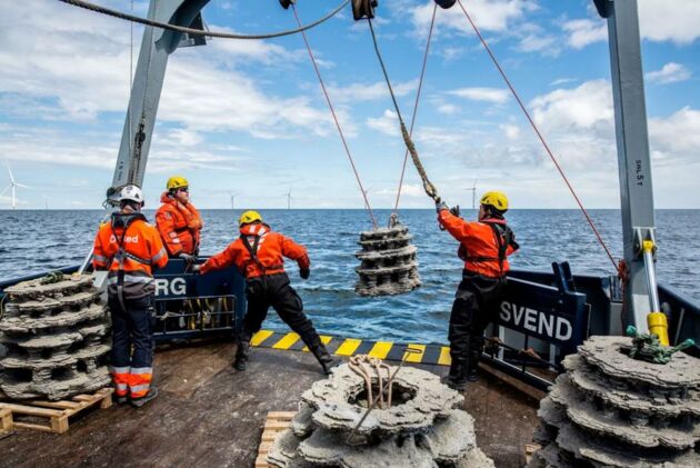 Ørsted-Mitarbeiter setzen in einem gemeinsamen Projekt mit dem WWF künstliche Riffe im Kattegat aus, um die Artenvielfalt in der Meerenge zu fördern.