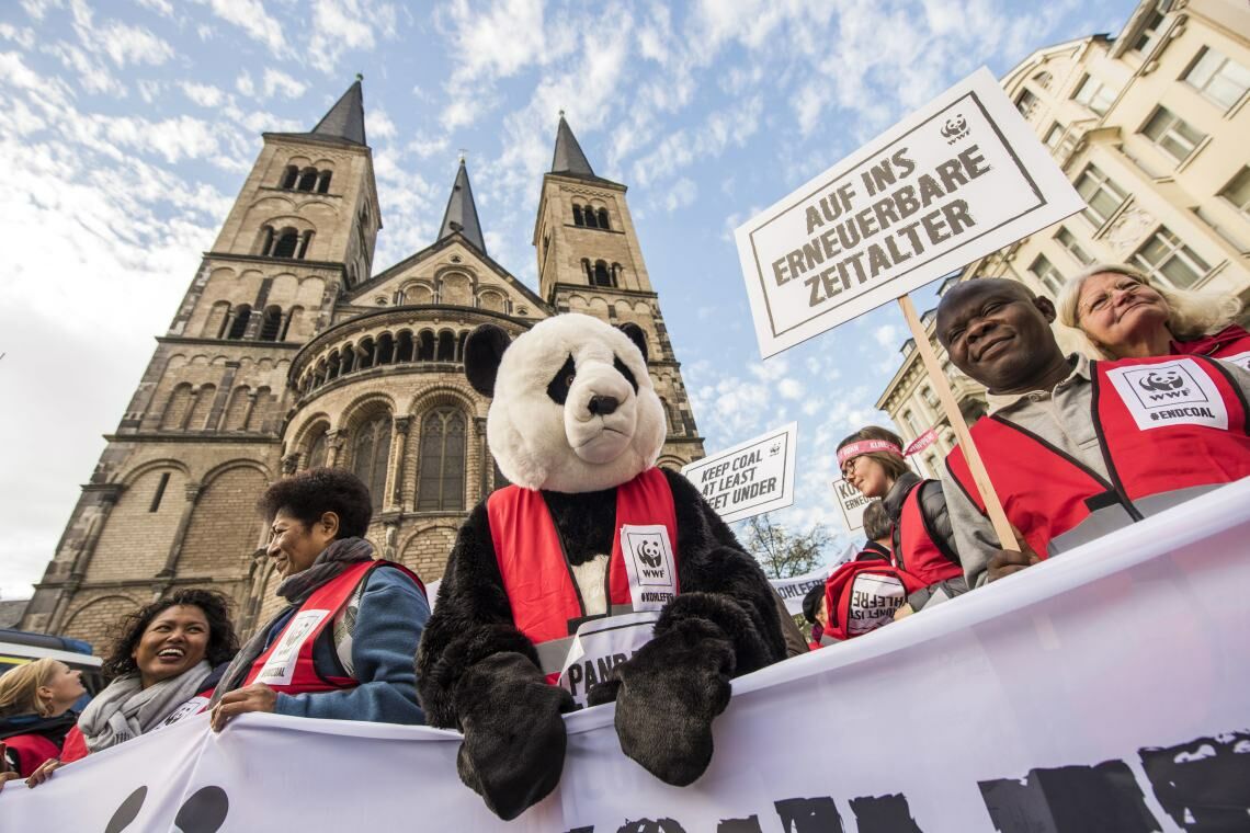 Mit seinem Symboltier, dem Panda, zählt der World Wide Fund For Nature (WWF) zu den bekanntesten Naturschutzorganisationen der Welt. Hier demonstrieren Mitarbeiter in Bonn für den Ausstieg aus der Kohle.