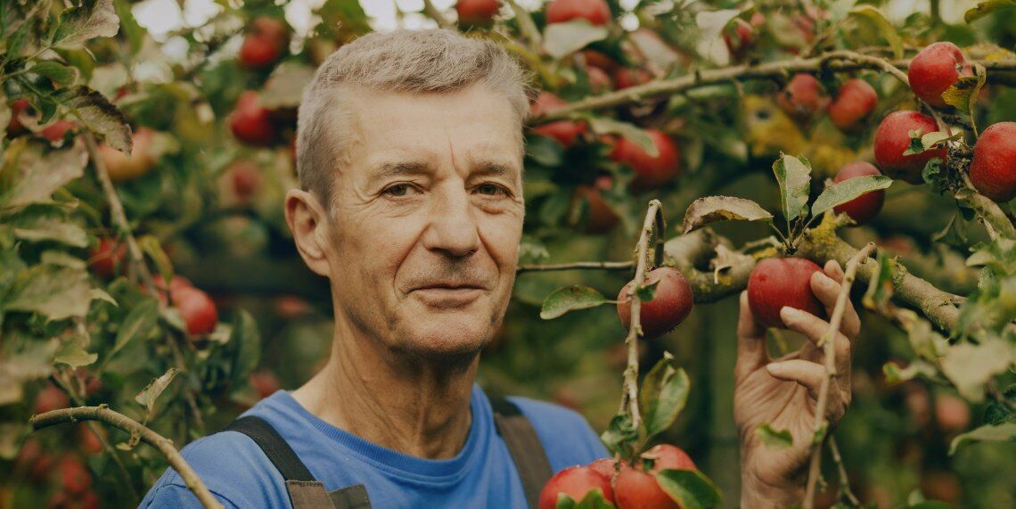 Werner Gebauer spritzt keine Pestizide in seiner Apfelplantage. Und trotzdem fährt er Ernten ein, deren Umfang Experten in Erstaunen versetzt.