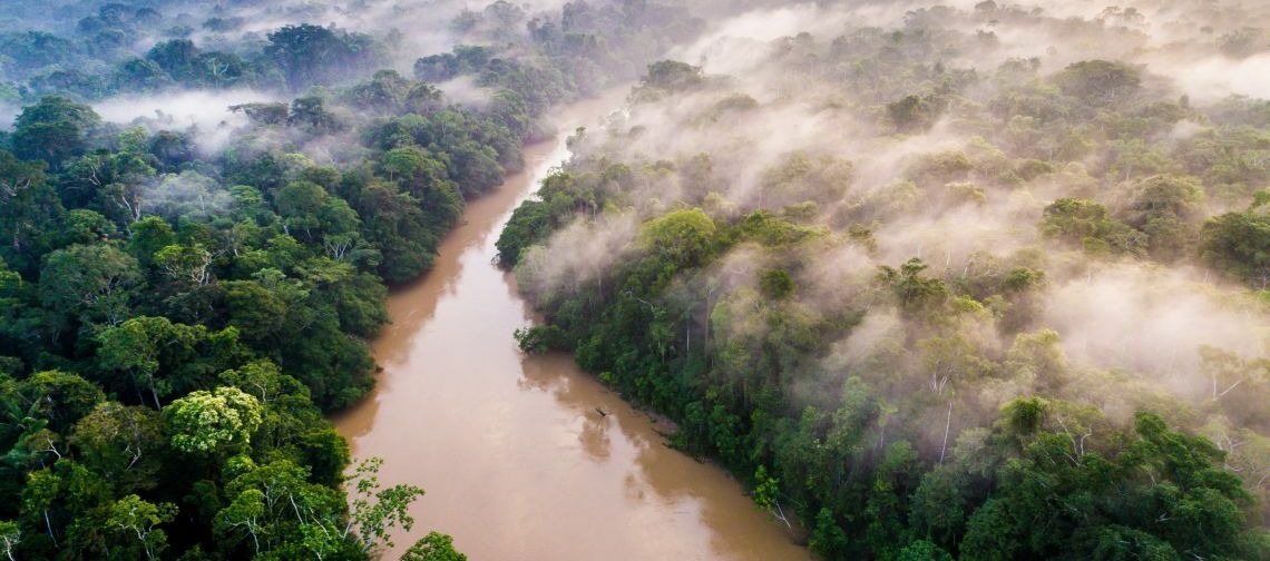 Yasuni-Nationalpark in Eucador aus der Luft: Der Regenwald ist Heimat unzähliger Tier- und Pflanzenarten.