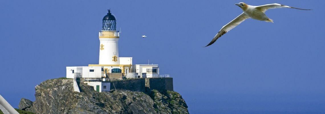 Offshore-Windräder bedeuten einen Eingriff in den Lebensraum von Seevögeln. Wie genau fünf verschiedene Arten davon betroffen sind, wurde in einem Offshore-Windpark in Schottland erforscht.