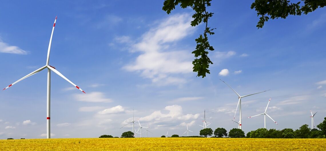 Windpark in Schleswig-Holstein: Weil das Bundesland ohnehin schon Spitzenreiter im Windkraft-Ausbau ist, will es das Recht der Gemeinden, zusätzliche Windräder zu bauen, eng begrenzen.