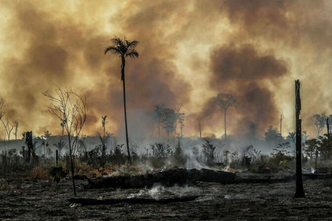 Feuer am Amazonas:  Wenn der Regenwald eine kritische Größe unterschreitet, kann er sich nicht mehr selbst regulieren. Das hätte fatale Folgen für das Klima auf der Erde.