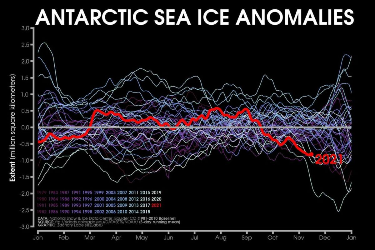 Die Infografik von Zachary Labe zeigt Anomalien im antarktischen Meereis. Labe veranschaulicht Datensätze zum Klimawandel in Grafiken und GIFs auf Twitter.