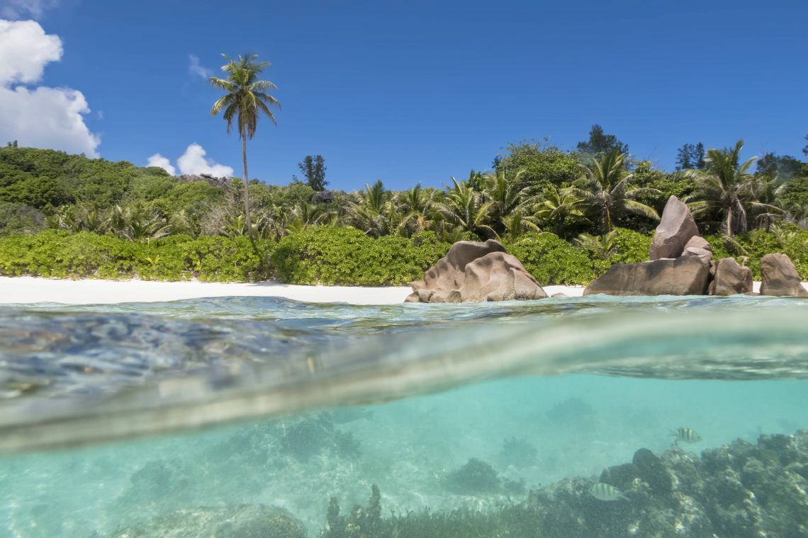 Blue Bonds: Die Seychellen haben eine blaue Anleihe begeben, um Investorengelder zum Schutz der Meere einzusammeln.