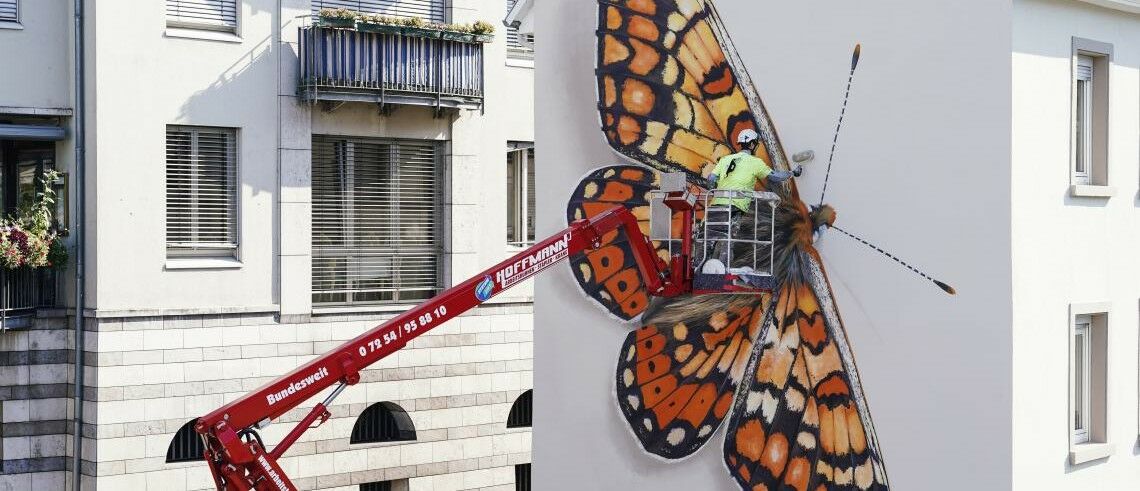 Schmetterling-Streetart an einer Hausfassade: Gibt es Artenvielfalt bald nur noch auf Gemälden?