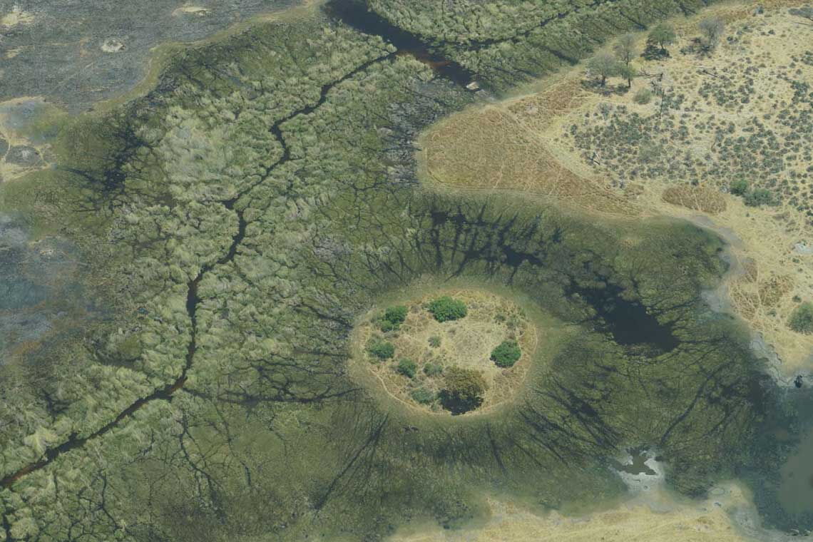 Okavangodelta in Botswana aus der Luft: Ein Elefant (rechts im Bild) durchstreift die endlose Graslandschaft.