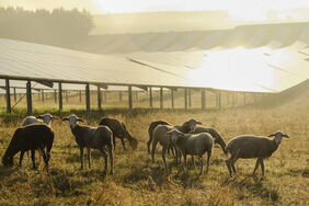 Deutschlands Strom wird immer sauberer, der Anteil erneuerbarer Energien lag 2023 schon bei fast 60 Prozent. Besonders der Ausbau der Solarenergie boomt.