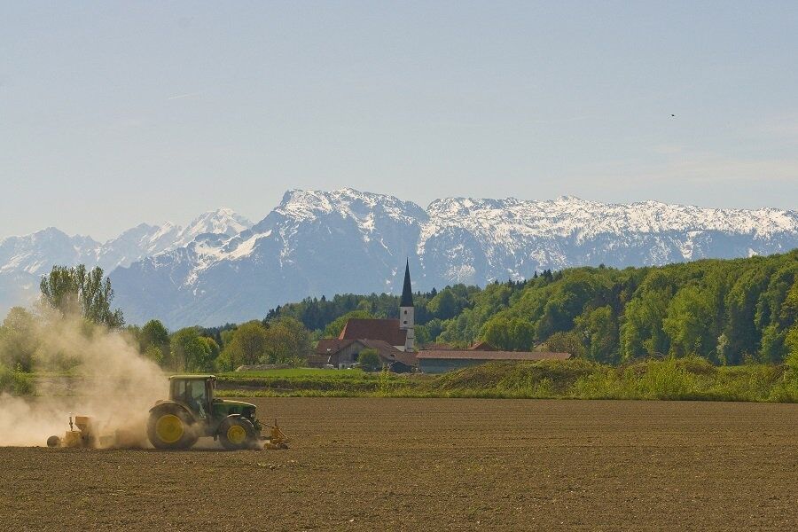 Maissaat in Bayern: Ein Großteil der Ernte landet in Biogasanlagen. Doch deren Ökobilanz ist umstritten.