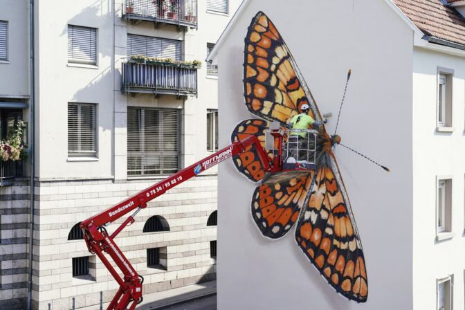 Artenschutz spielt in Unternehmen bislang eine Nebenrolle. Doch das dürfte sich ändern. Das Bild zeigt einen Schmetterling auf einer Hausfassade in Berlin.