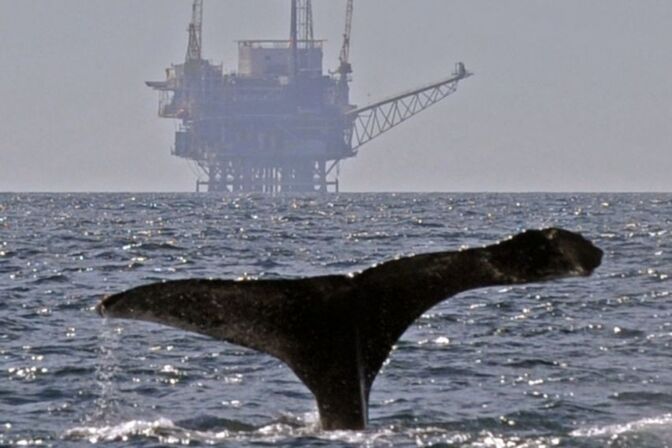 Ein Wal taucht vor einer Bohrinsel: Will die Weltgemeinschaft ihre Klimaziele erreichen, muss ein großer Teil des Öls unter der Erde bleiben. Viele institutionellen Anleger stellen sich bereits darauf ein finanzieren keine Öl- und Gasprojekte mehr.