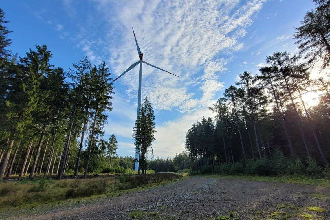 Stürme und Borkenkäfer haben dem Simmerather Forst stark zugesetzt. Für die Windräder wurden nicht mehr Bäume gefällt, als ohnehin pro Jahr vorgesehen sind.