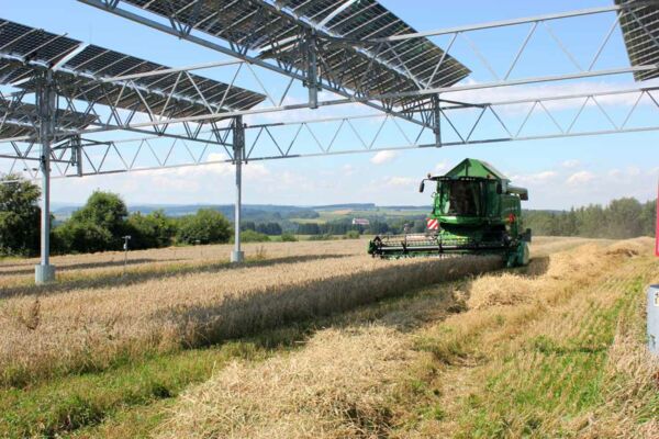 Agri-PV-Anlage am Bodensee: Ein Mädrescher erntet das Getreide, das unter den Solarmodulen angebaut wurde.