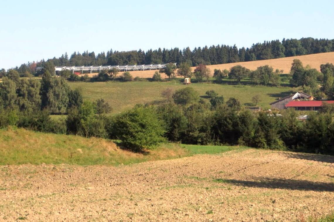 Agri-PV-Anlage in Heggelbach: Die Versöhnung von Landwirtschaft und Stromerzeugung.