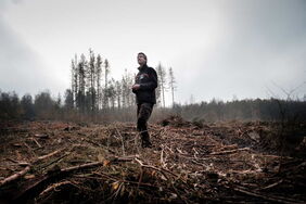 Kahlschlag im Kottenforst: Förster Uwe Schölmerich steht auf einer zehn Fußballfelder großen Fläche, auf der abgestorbene Fichten abgeholzt wurden.