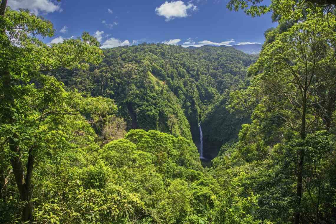 Costa Rica tut viel für den Klimaschutz und die Artenvielfalt. Es gehört weltweit zu den Vorreitern in Sachen Nachhaltigkeit.