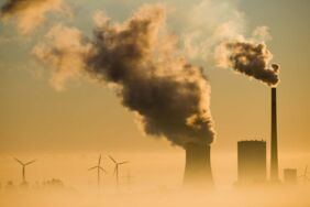 Windräder neben dem Kohlekraftwerk Mehrum in Niedersachsen: Jeder Euro, der in erneuerbare Energien fließt, trägt dazu bei, die Kosten des Klimawandels zu verringern.