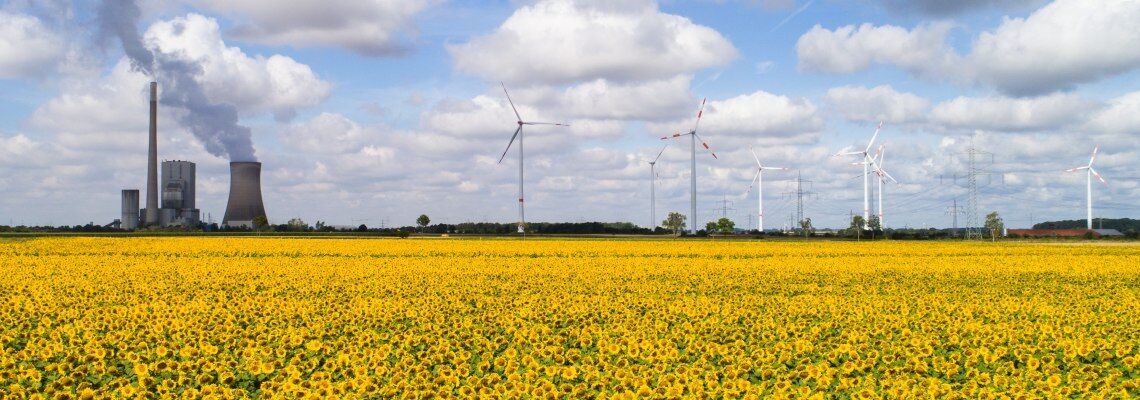 Windräder und en Kohlekraftwerk stehen am Rand eines Sonnenblumenfelds in Niedersachsen: Die Stiftung Klimaneutralität hat einen Vorschlag unterbreitet, um den Konflikt von Artenschutz und Klimaschutz zu lösen.