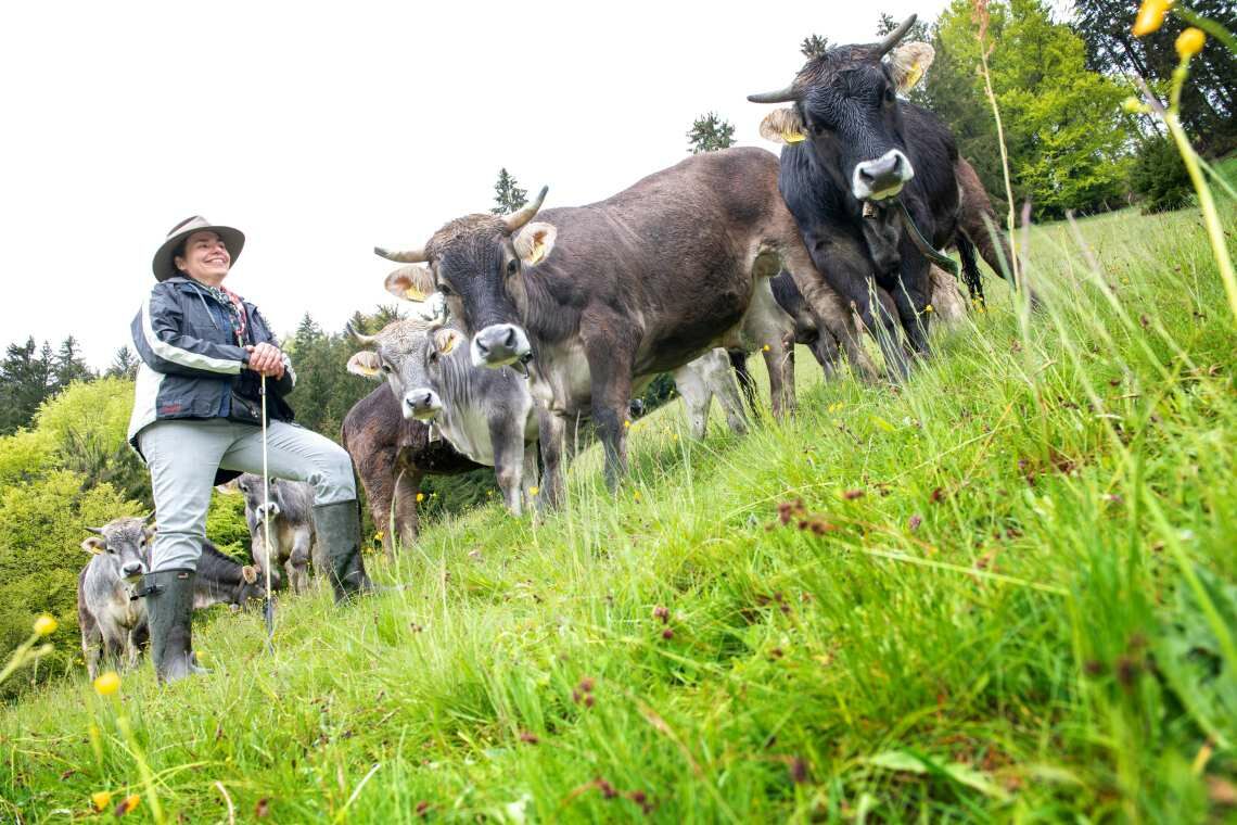Auf den Weiden von Christine Bajohr gedeiht die Artenvielfalt: Im Projekt Kuh Pro Klima sucht die Landwirtin Wege, um Kühe klimafreundlich zu halten.