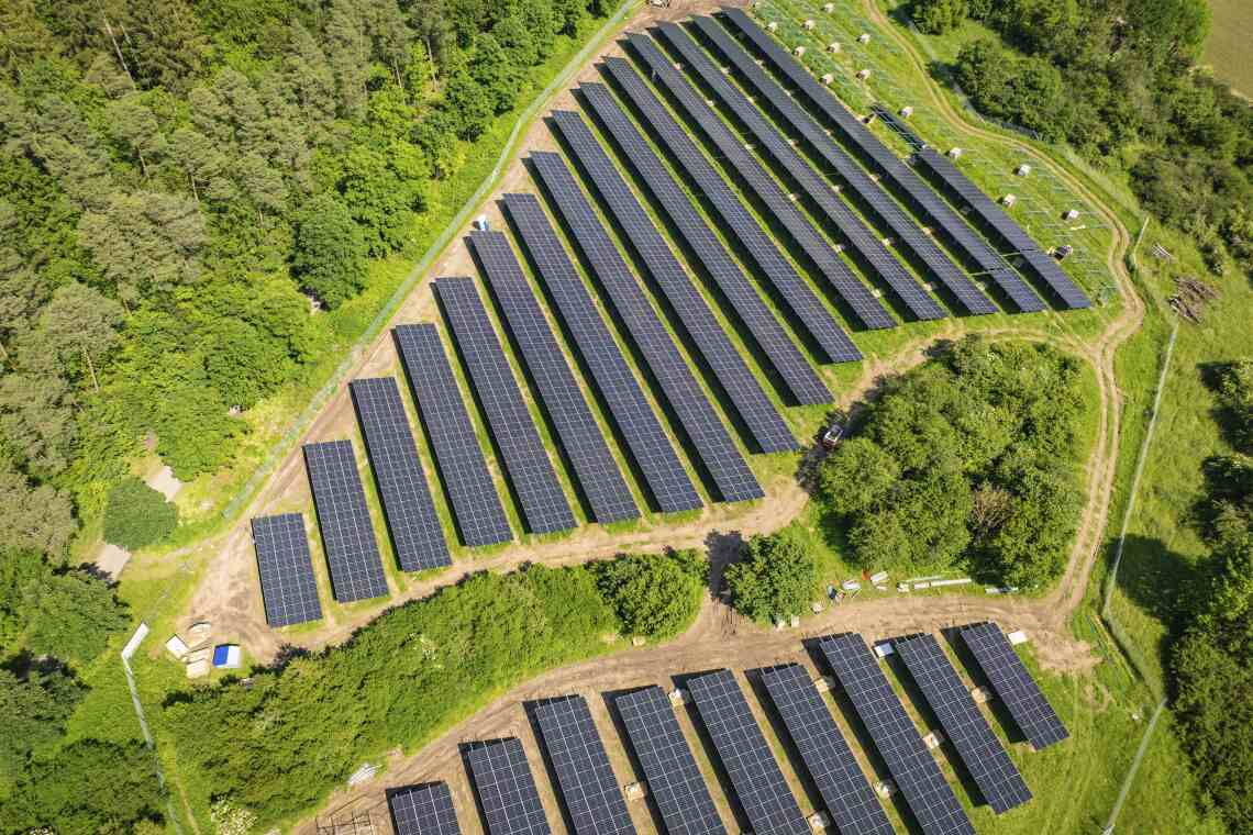Solarpark in Baden-Württemberg: „Höherwertig als ein artenarmer Acker.“
