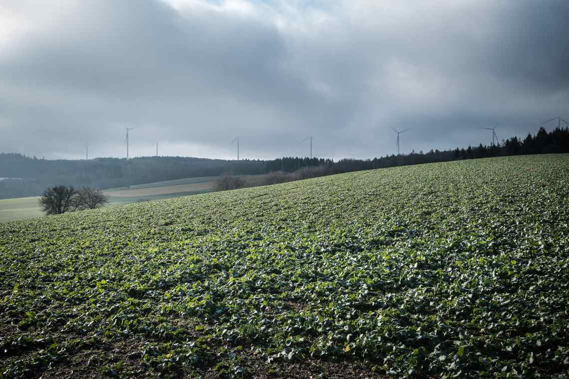 Windpark Heidenrod im Taunus: Die verschuldete Gemeinde saniert mit dem Baus des Windparks ihren Haushalt und schafft zugleich mit einem Beteiligungsmodell große Akzeptanz für die Windräder. Foto: Martin Magunia für EnergieWinde