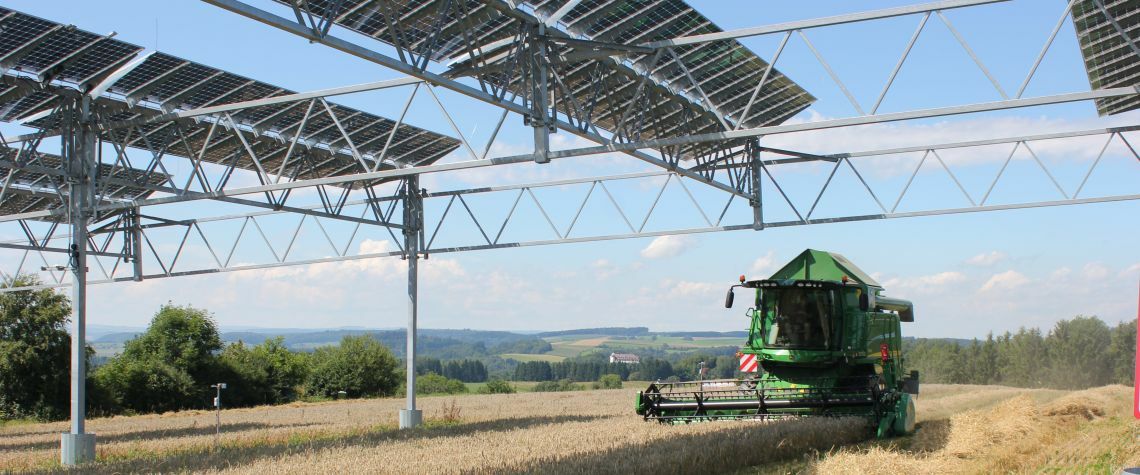 Getreideernte unter einer Agri-PV-Anlage in Heggelbach am Bodensee: Die Moduele hängen acht Meter hoch in der Luft.