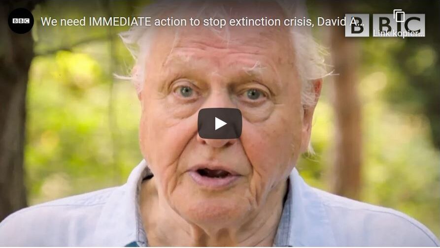 Sir David Attenborough hat die Zerstörung der Naturparadiese des Planeten über Jahrzehnte mit eigenen Augen beobachtet. Er warnt eindringlich vor den Folgen des Klimawandels.