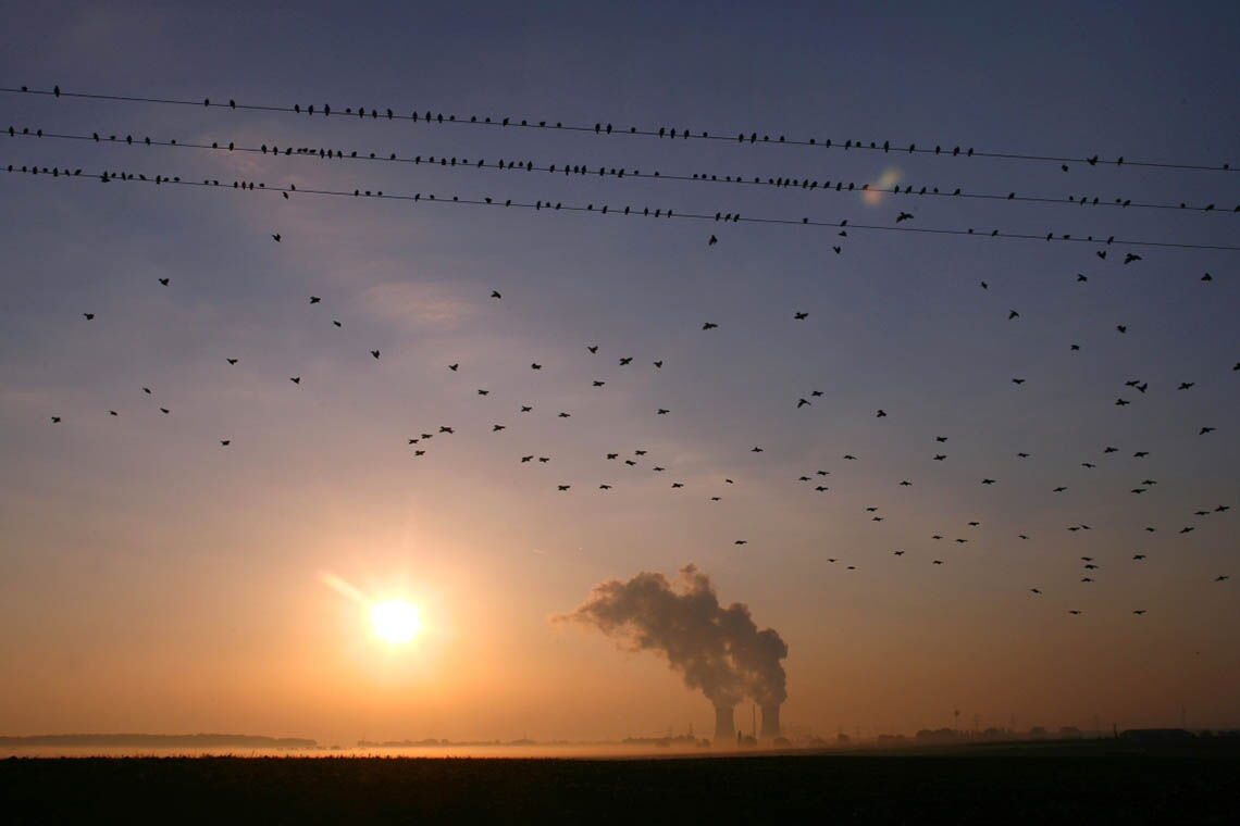 Windräder neben dem Kohlekraftwerk Mehrum in Niedersachsen: Jeder Euro, der in erneuerbare Energien fließt, trägt dazu bei, die Kosten des Klimawandels zu verringern.