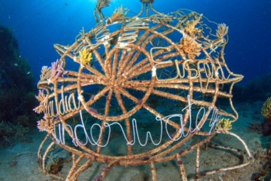Stahldraht ist die Ausgangsbasis der Biorock-Korallenriffe von Tom Goreau. Werden sie unter Strom gesetzt, wachsen Korallen darauf sehr schnell.