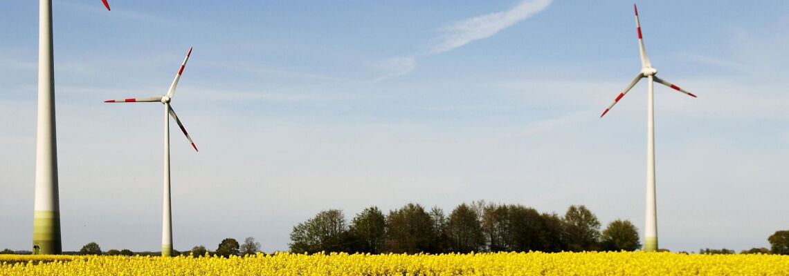 Bürgerbeteiligung an Windparks in Mecklenburg-Vorpommern: Windräder des Windparks in Schönberg werden durch neue Anlagen ersetzt.