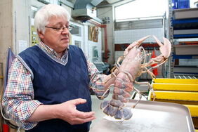 Hummer-Aufzuchtstation auf Helgoland: Heinz-Dieter Franke erläutert das Projekt zur Hummer-Ansiedlung in Offshore-Windparks wie Riffgat.