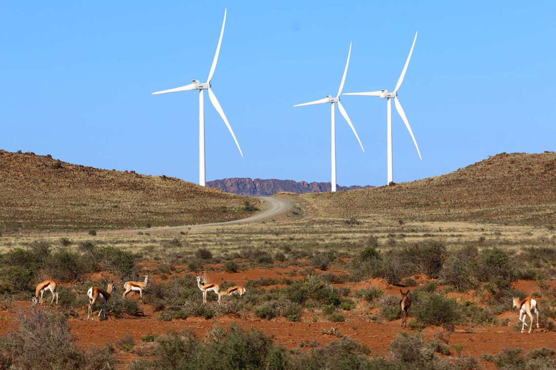 Windenergie in Südafrika: Impalas grasen vor den Windrädern der Noblesfontein Wind Farm.