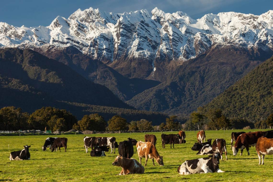 In Neuseeland ist Klimaschutz wichtig, das Land ist ein Vorreiter der Klimaschutzbewegung.