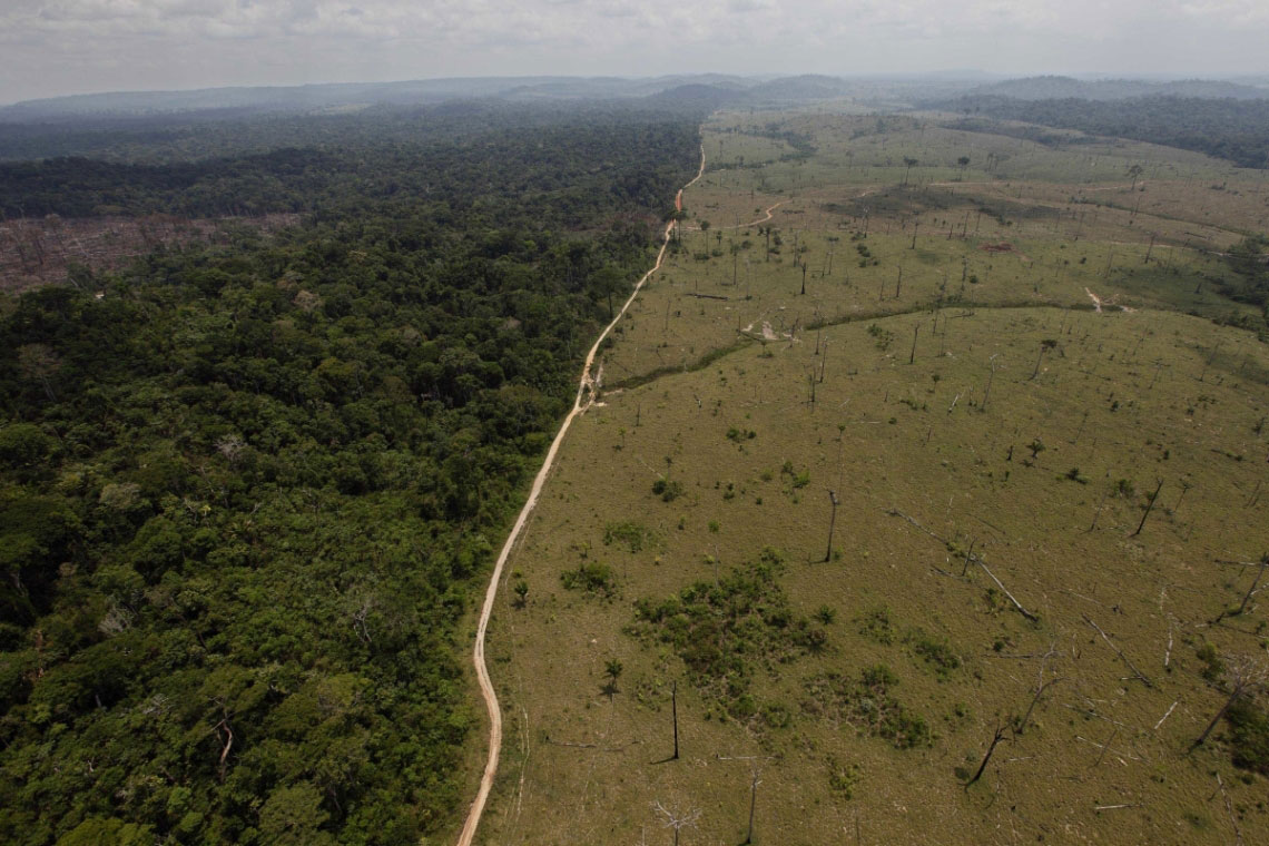 Brasilien schert beim Klimaschutz aus: Der Amazonas-Regenwald soll stärker ausgebeutet werden.