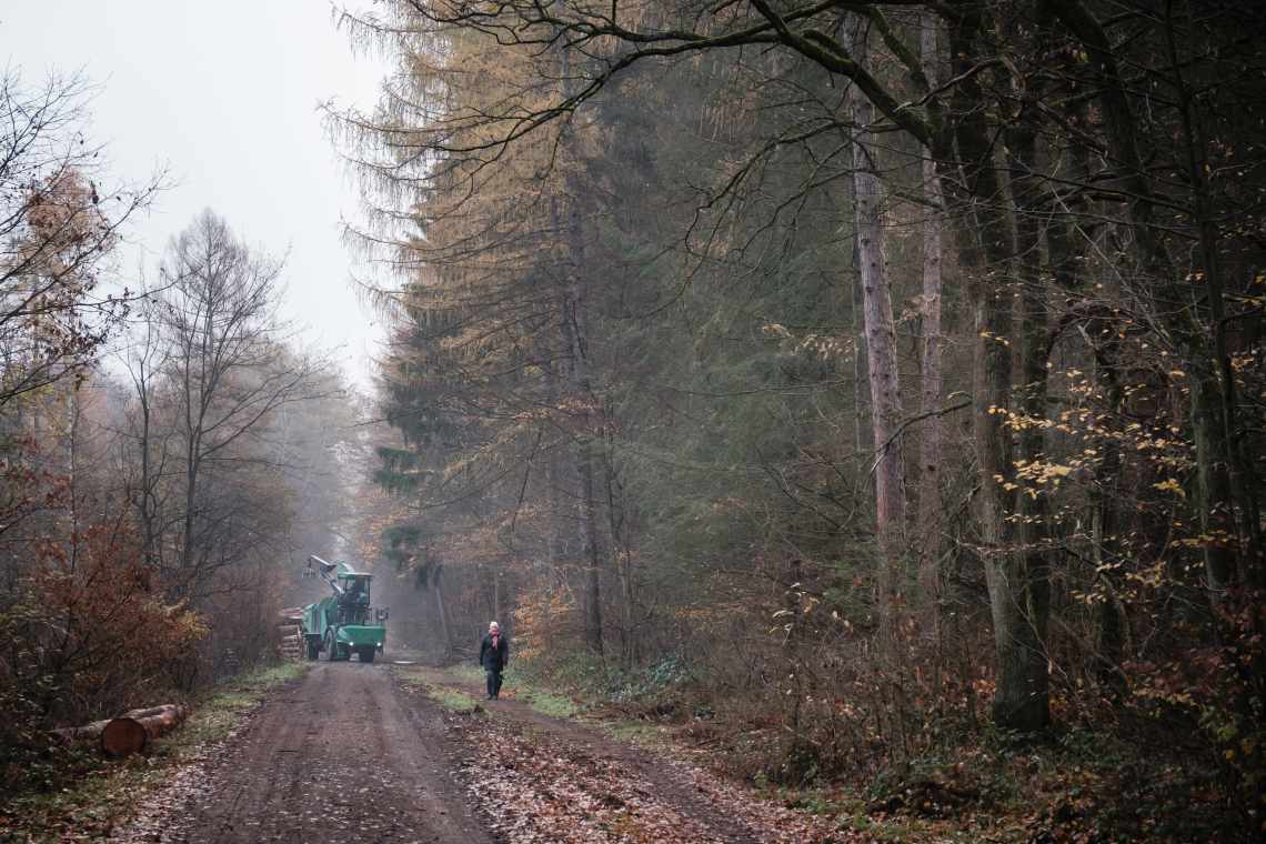 Schwere Forstmaschinen sind im Kottenforst bei Bonn im Einsatz, um abgestorbene Fichten zu beseitigen, die dem Klimawandel zum Opfer fielen.