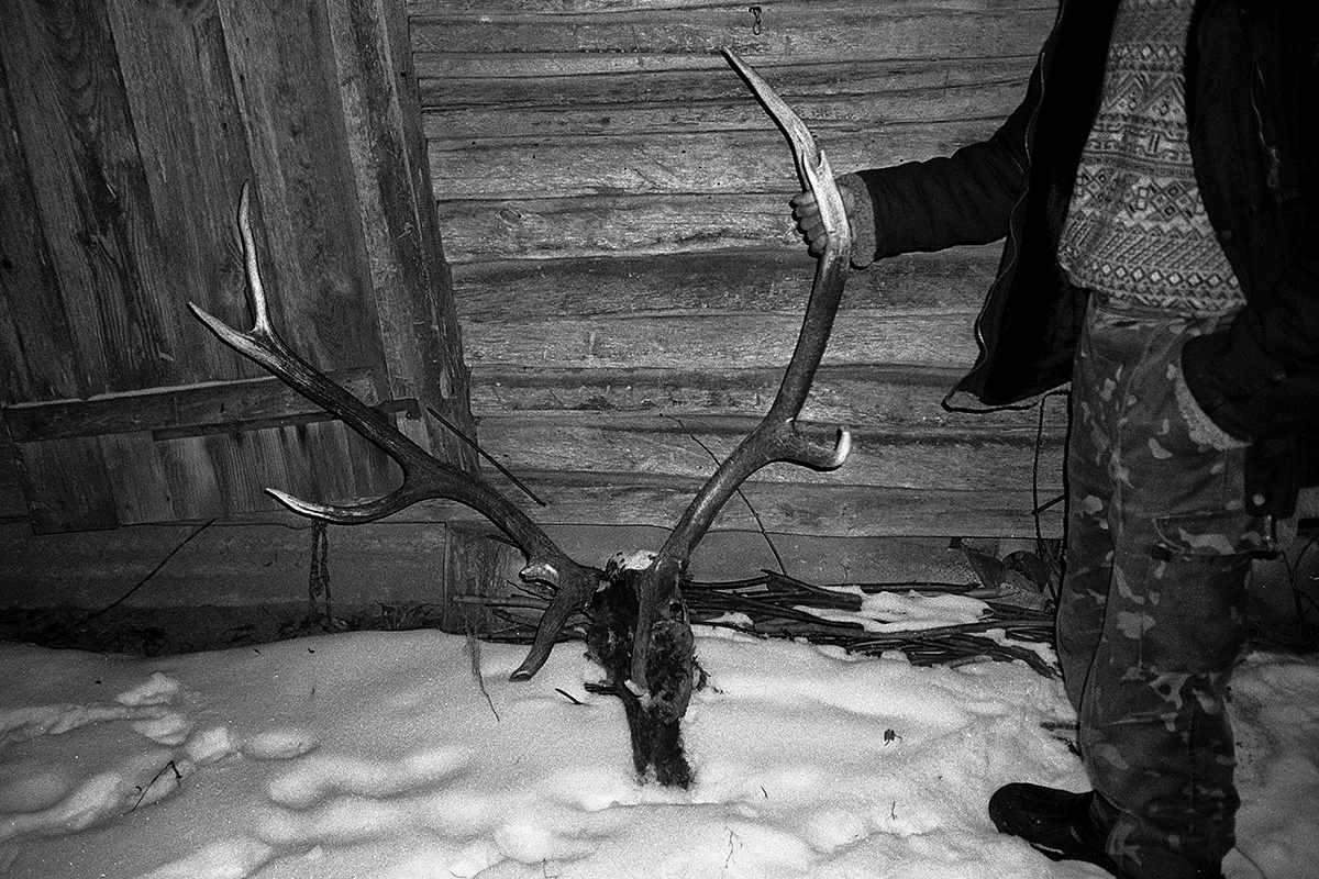 Diesen Hirsch hat ein Jäger in der Sperrzone von Tschernobyl erlegt. Auch das ist verboten, aber unter der lokalen Bevölkerung weit verbreitet. Foto: Arthur Bondar.