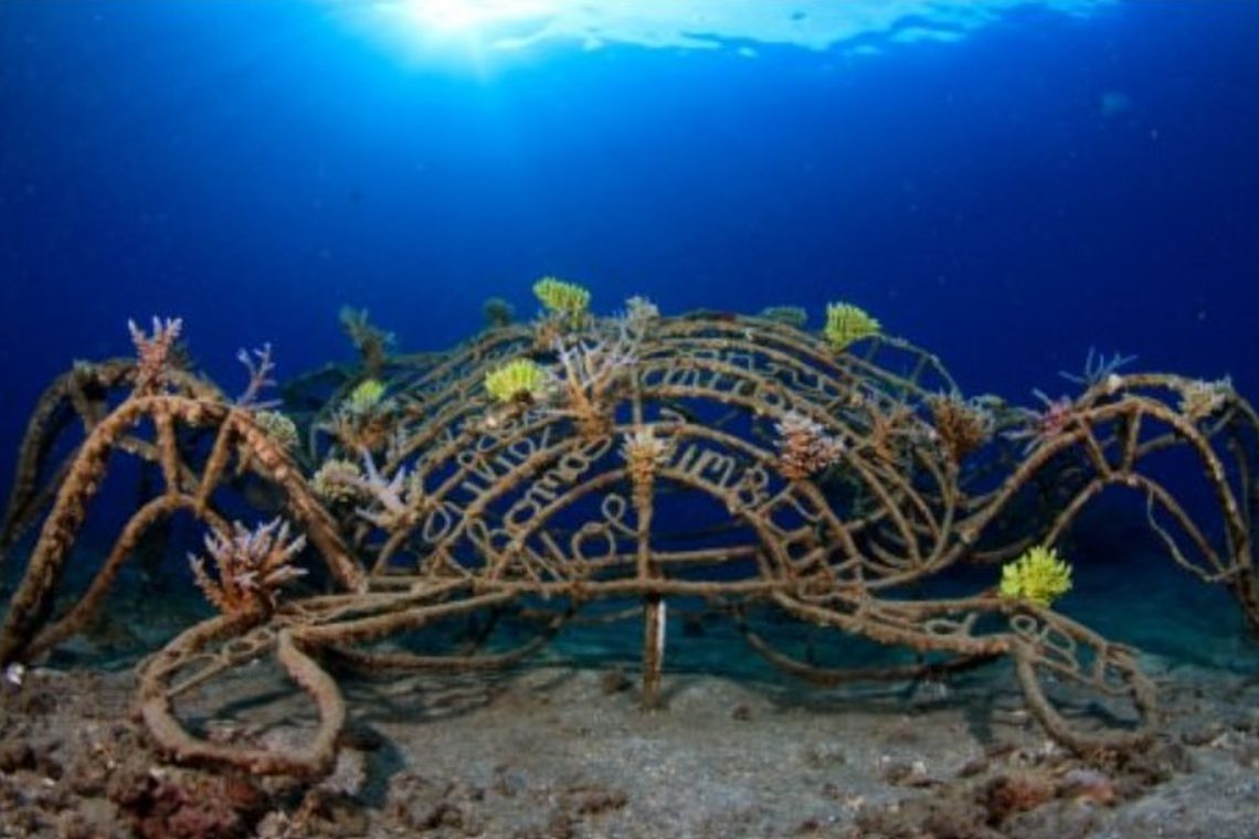 Biorock-Korallenriffe können fantasievolle Formen haben. Dieses künstliche Riff erinnert an einen Krebs.